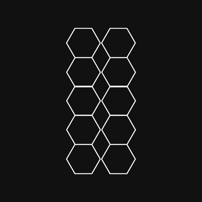 HexHive Hexagon Lighting 10 Grid System